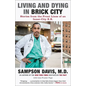 Living and Dying in Brick City: Stories from the Front Lines of an Inner-City E.R. - Paperback