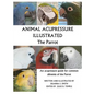 Animal Acupressure Illustrated The Parrot - Paperback