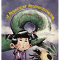 A Magnificent Misunderstanding - Hardcover