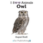 Owl - Hardcover