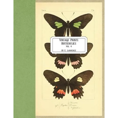 Vintage Prints: Butterflies: Vol. 4 - Paperback