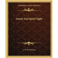 Astral And Spirit Sight - Paperback