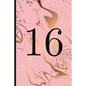 16: A Beautiful 16th Birthday Gift and Keepsake to Write Down Special Moments - Paperback