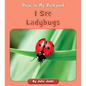 I See Ladybugs - Paperback