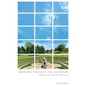 Weaving Through the Labyrinth: Emerging from a Traumatic Brain Injury - Paperback