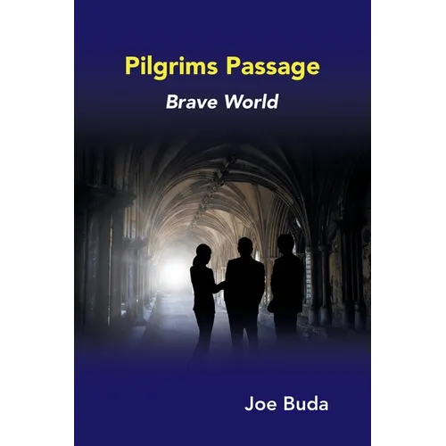 Pilgrims Passage: Brave World - Paperback