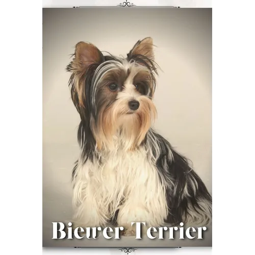 Biewer Terrier: Dog breed overview and guide - Paperback