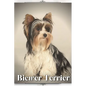 Biewer Terrier: Dog breed overview and guide - Paperback