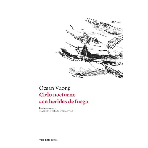 Cielo nocturno con heridas de fuego - Paperback