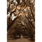 Whiskey Road - Paperback