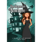 The Broom to Nowhere - Paperback