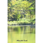 Bat Creek Stone: At a Glance - Paperback