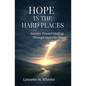 Hope In the Hard Places: Journey Toward Healing Through Invisible Illness - Paperback