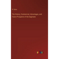 The History, Commercial, Advantages, and Future Prospects of the Saginaws - Hardcover