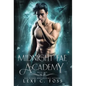 Midnight Fae Academy: Book One - Hardcover