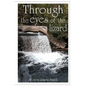 Through the Eyes of the Lizard - Paperback