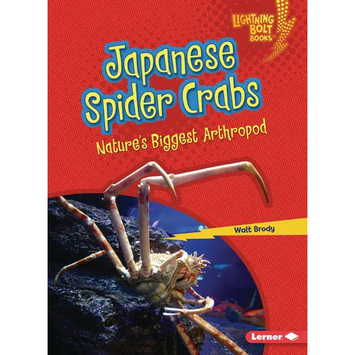 Japanese Spider Crabs: Nature's Biggest Arthropod - Paperback