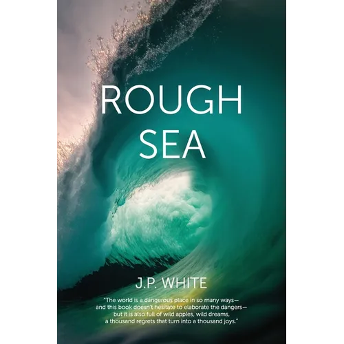 Rough Sea: poems - Paperback