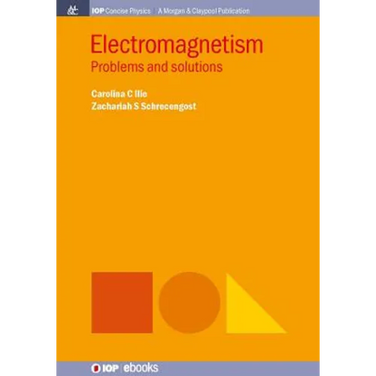 Electromagnetism: Problems and Solutions - Paperback