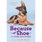 Because of Shoe and Other Dog Stories - Paperback