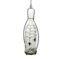 Color Changing Lighted Frosted Glass Halloween Bottle -  Spiders