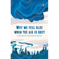 Why We Feel Blue When the Air Is Grey - Paperback