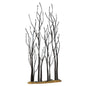 Stand of Sycamore Trees