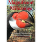 Magnificent Mihirungs: The Colossal Flightless Birds of the Australian Dreamtime - Hardcover