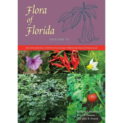 Flora of Florida, Volume VI: Dicotyledons, Convolvulaceae through Paulowniaceae - Hardcover
