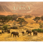 Into Africa - Hardcover