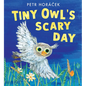 Tiny Owl's Scary Day - Hardcover