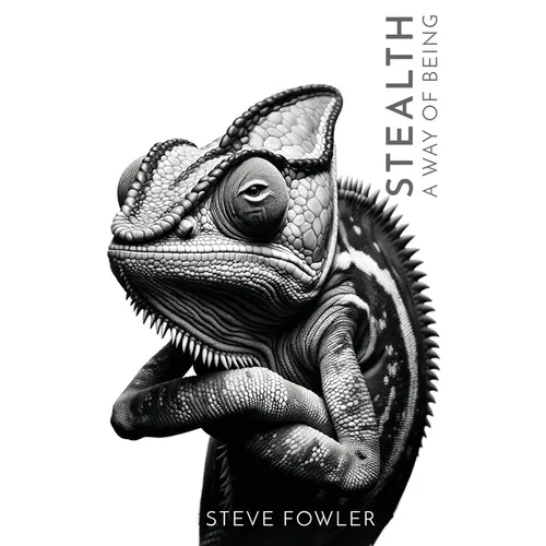 Stealth: A Way of Being - Paperback