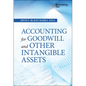 Accounting for Goodwill and Other Intangible Assets - Hardcover