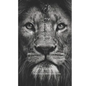 El León Del Rey - Paperback