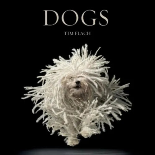 Dogs: Photographs - Hardcover