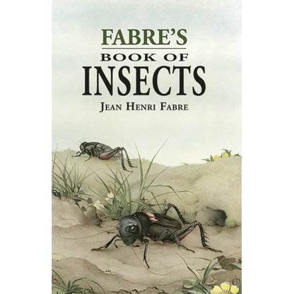 Fabre's Book of Insects - Paperback