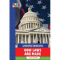Understanding How Laws Are Made - Library Binding