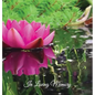 Funeral Guest Book, "In Loving Memory", Memorial Guest Book, Condolence Book, Remembrance Book for Funerals or Wake: HARDCOVER. A Memorial Service Gue - Hardcover