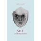 Self, One and Many: Historical Reflections - Paperback