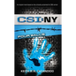 Csi: New York: Four Walls - Paperback