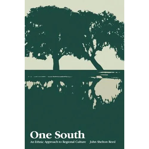 One South: An Ethnic Approach to Regional Culture - Paperback