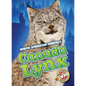 Canada Lynx - Library Binding
