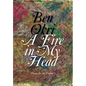 A Fire in My Head: Poems for the Dawn - Hardcover