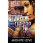 Started from the Top Now I'm Here: An Urban Tale of Riches to Rags - Paperback
