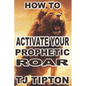 Your Prophetic Roar - Paperback