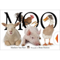 Moo - Hardcover
