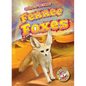 Fennec Foxes - Library Binding