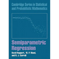 Semiparametric Regression - Paperback