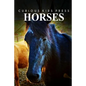 Horse - Curious Kids Press - Paperback