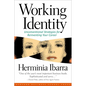 Working Identity: Unconventional Strategies for Reinventing Your Career - Paperback